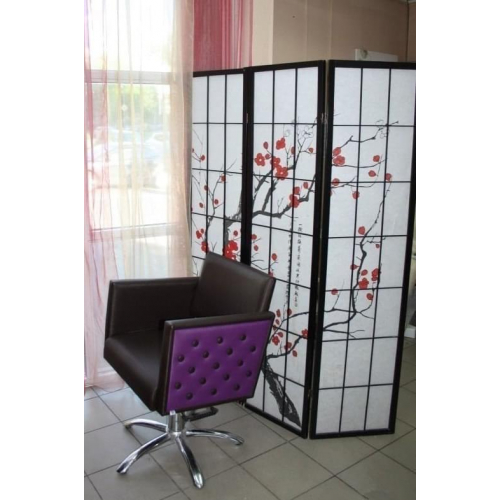 Парикмахерское кресло "Комодо"